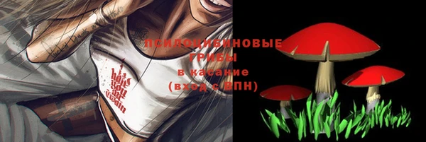 наркотики Алексин