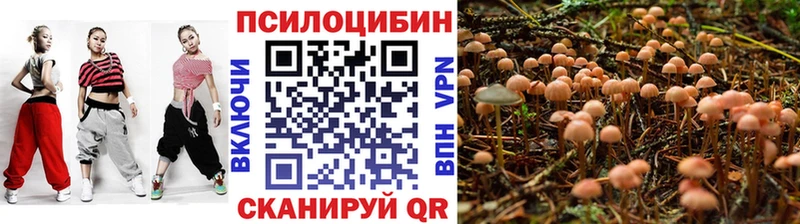 Галлюциногенные грибы Psilocybe  наркотики  Петушки 